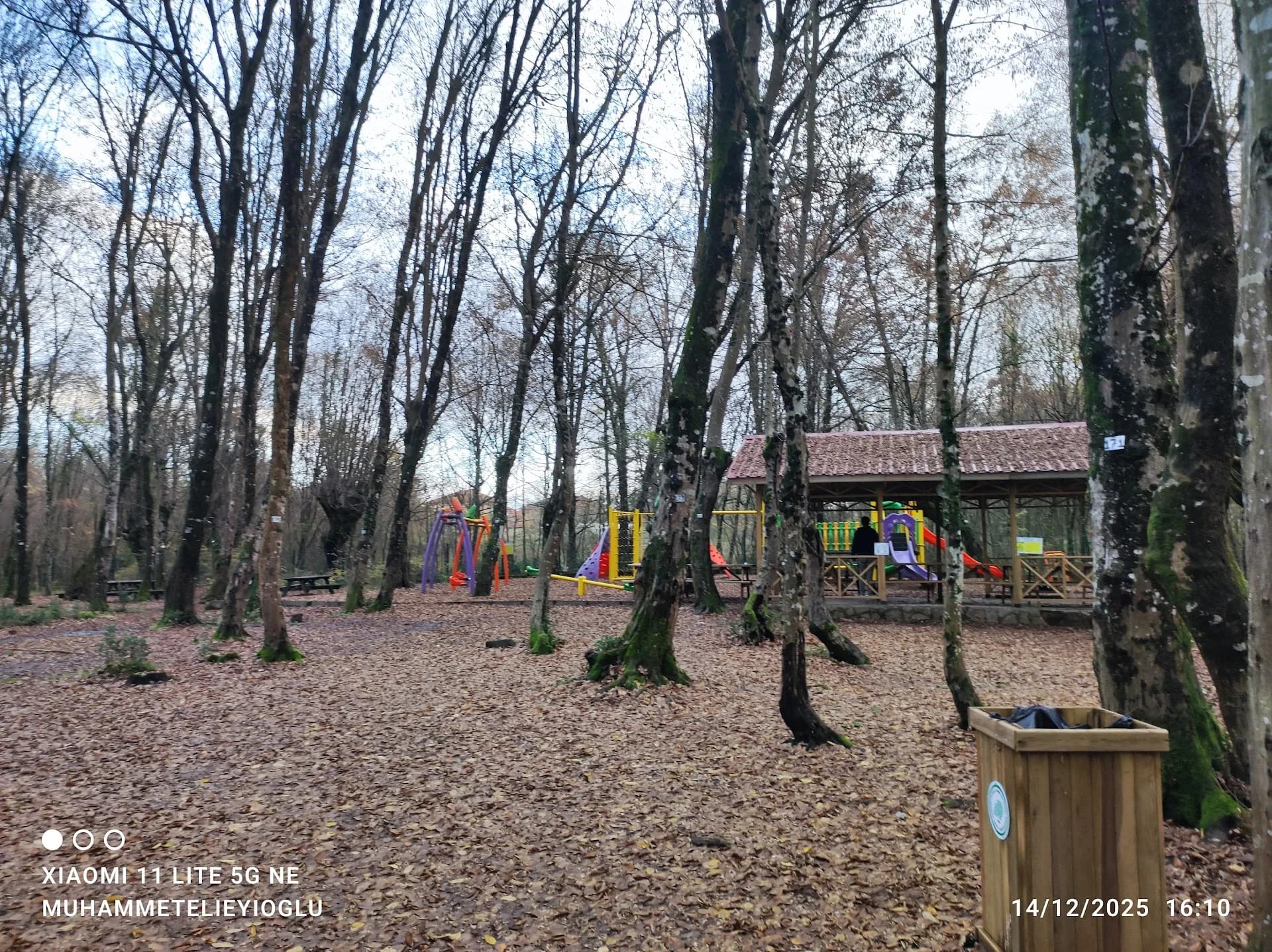 Babamla Tabiat Parkı Bartın
