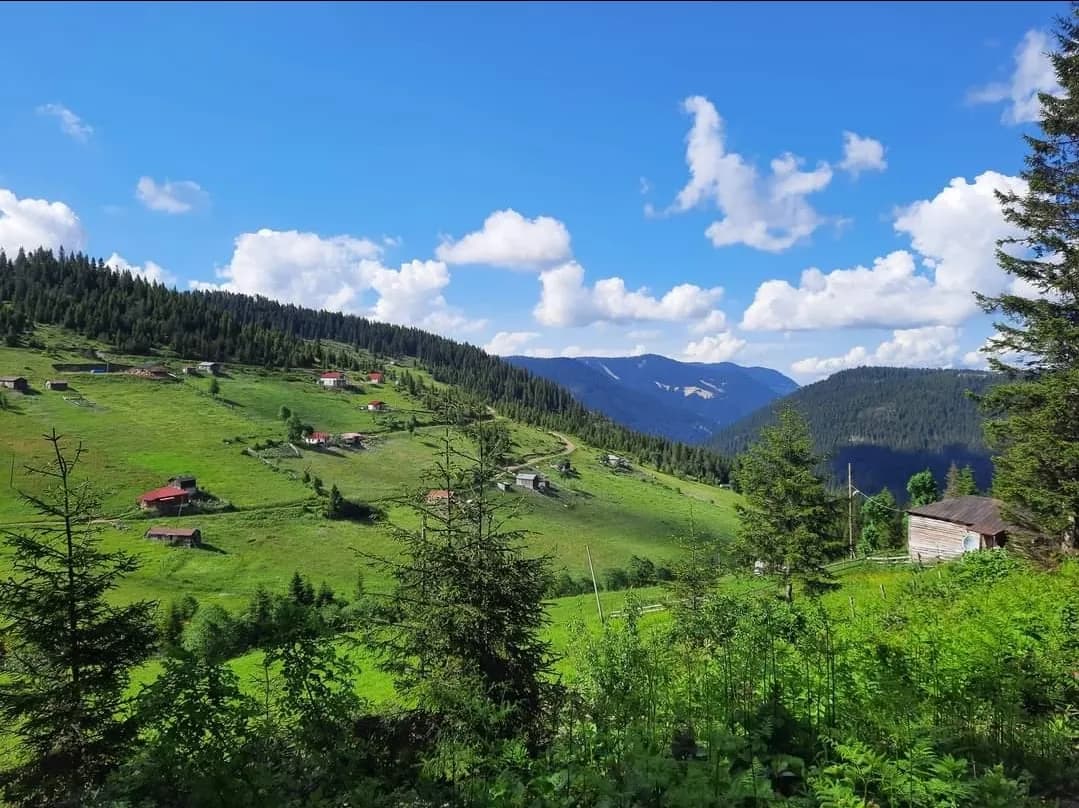 Fındıcak Yaylası