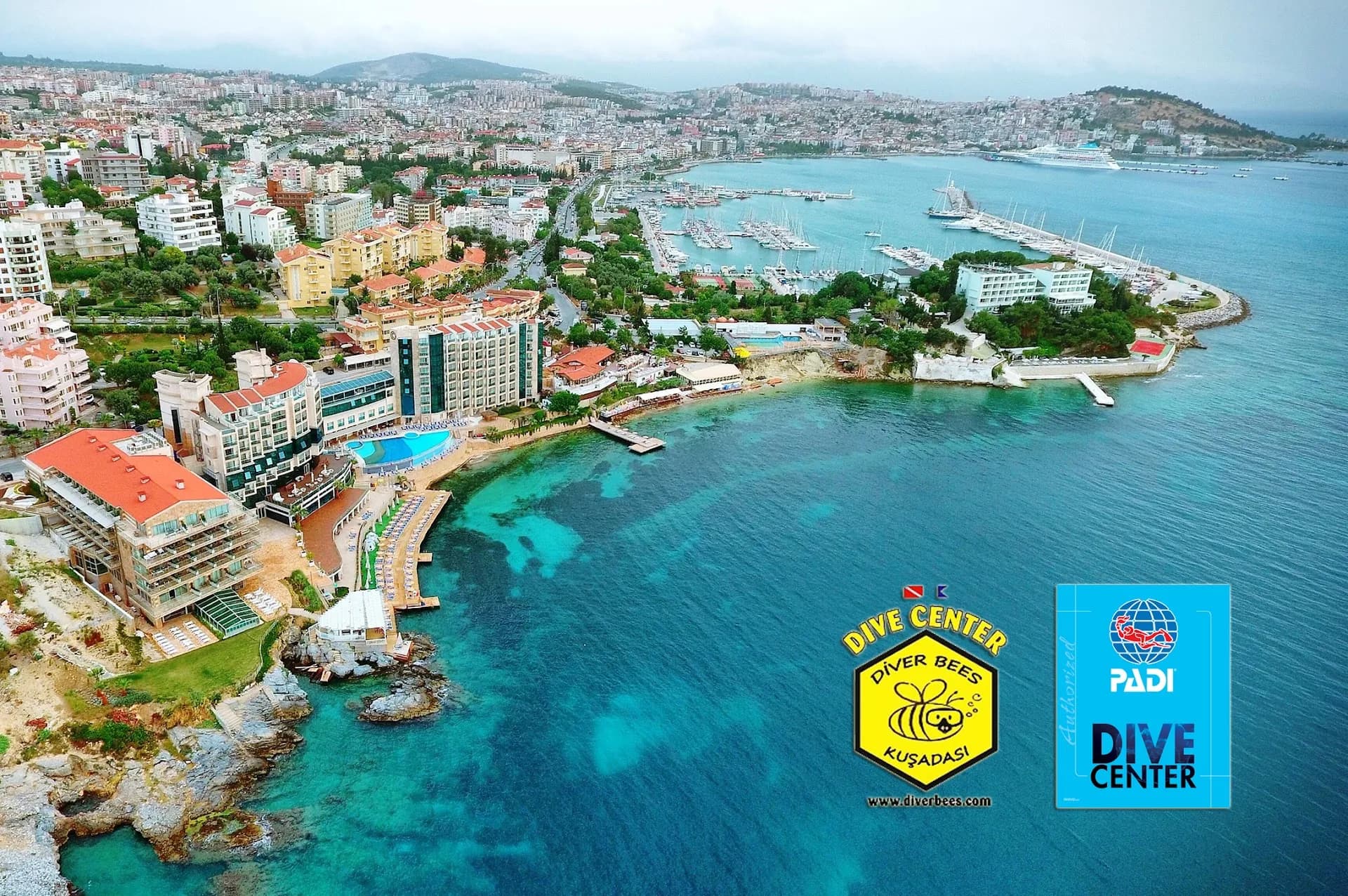 Diver Bees Dive Center - Kuşadası Dalış Merkezi Turkiye