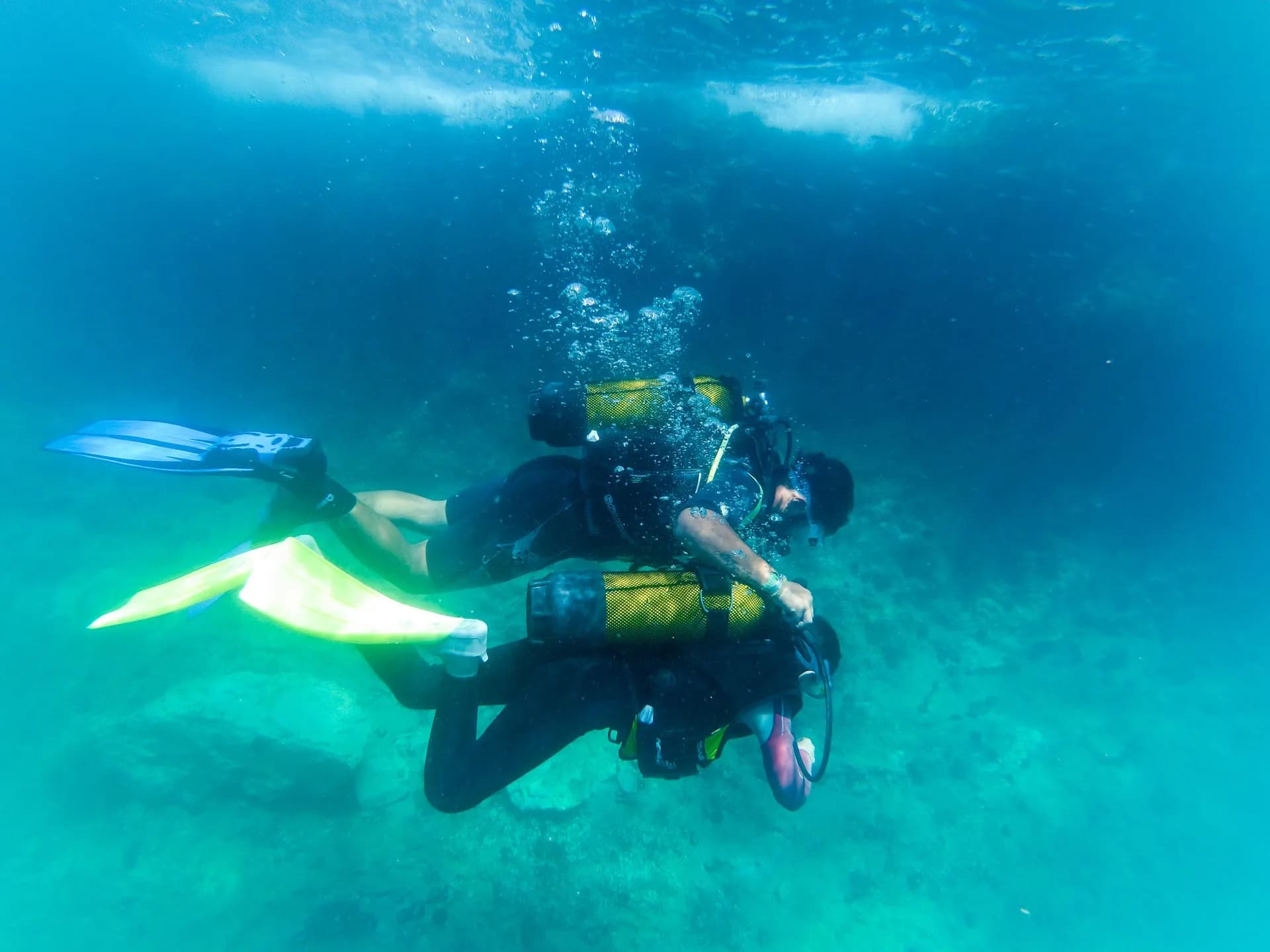 Diver Bees Dive Center - Kuşadası Dalış Merkezi Turkiye 3