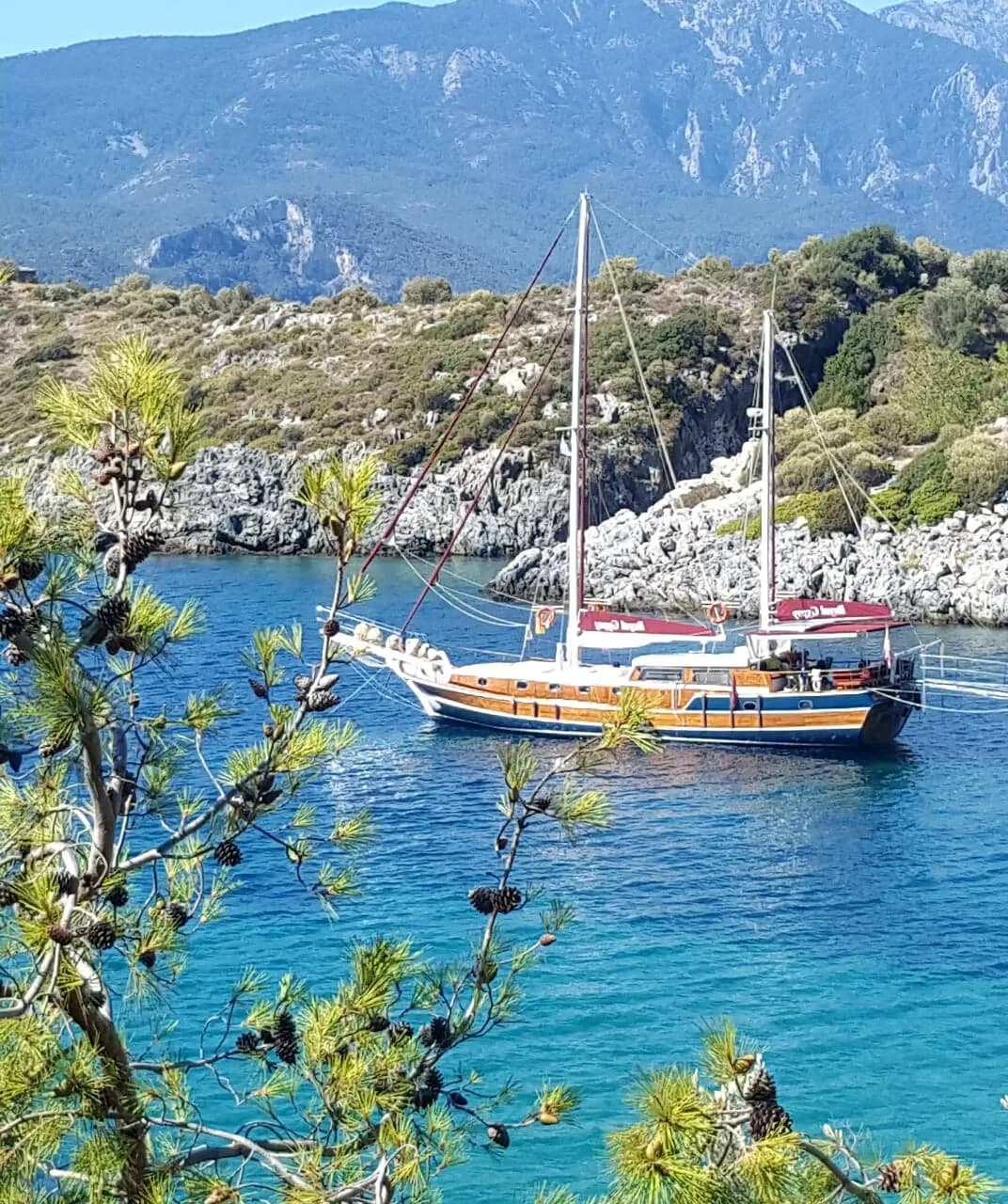 Royal gypsy Öncu yatcılık 2