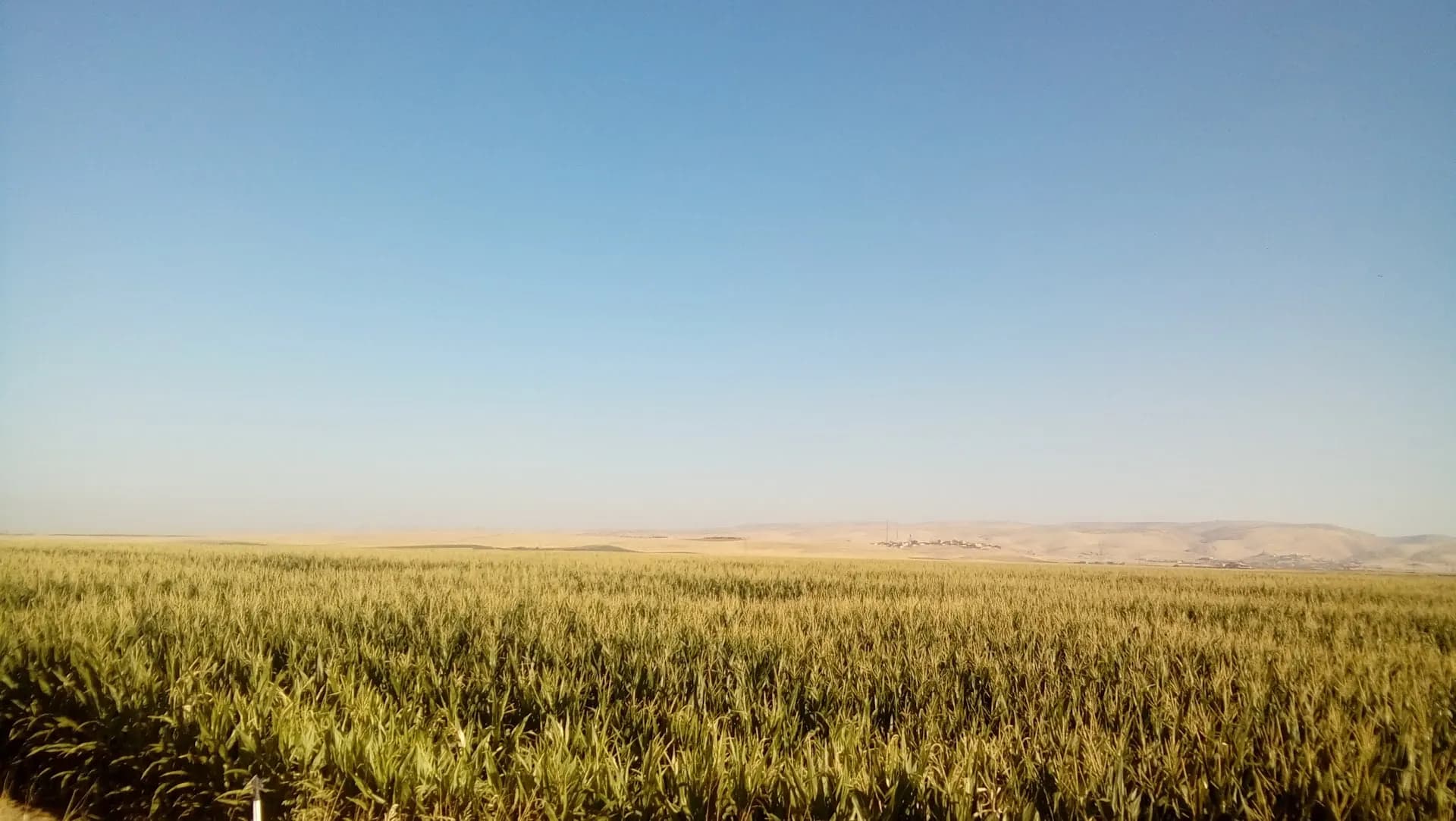 Mardin İli 80 Yıl Cumhuriyet Ormanı