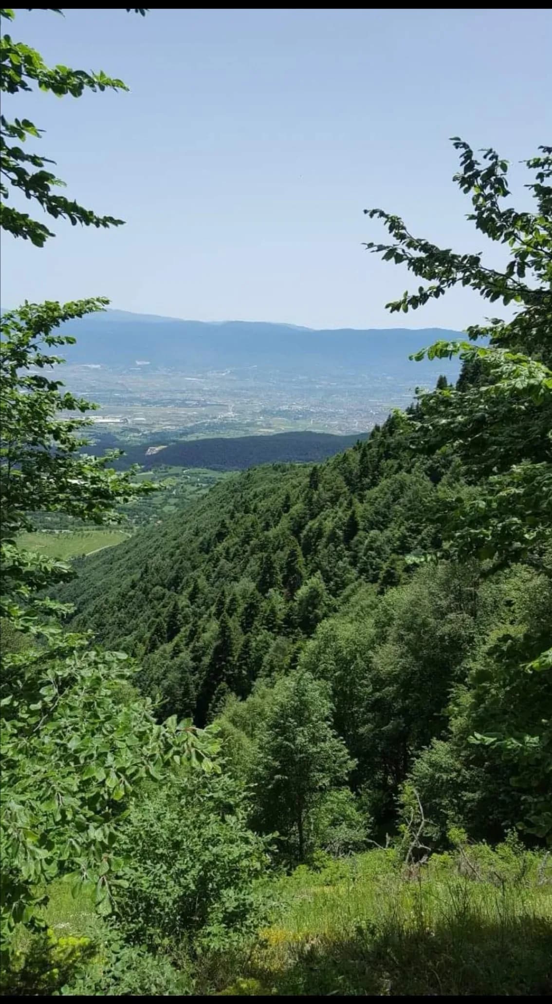 Kozlu Köyü Yaylası