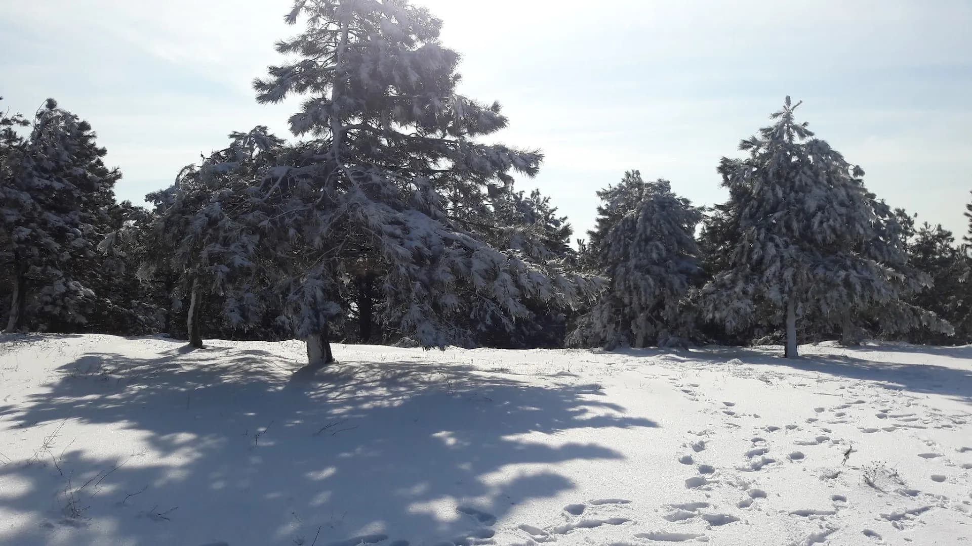 Yalova Ekoturizminde Trekking Parkurları