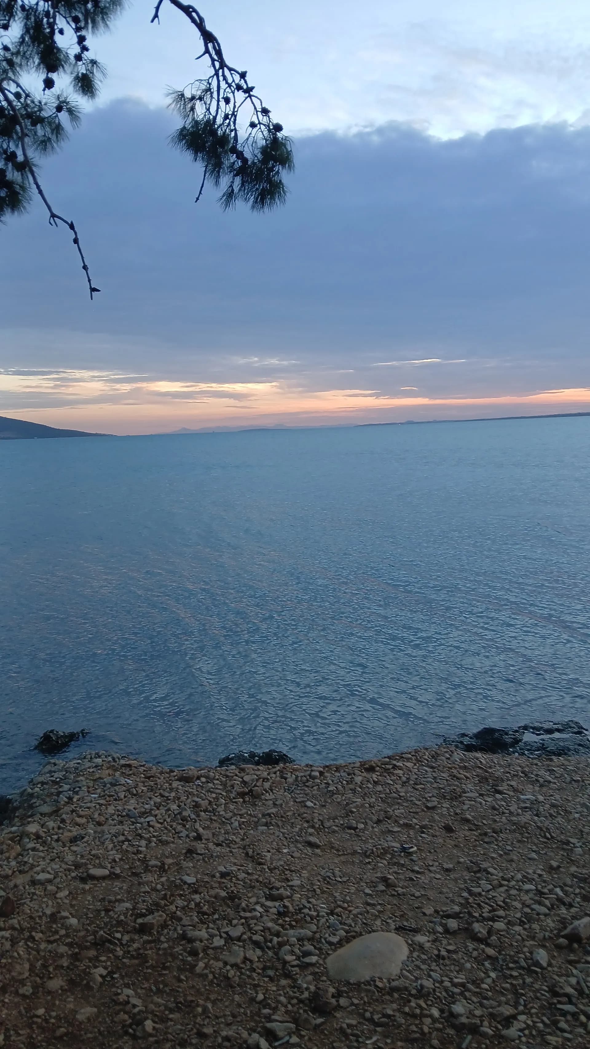 Didim akbuk tekne gezi ve balik turları 2