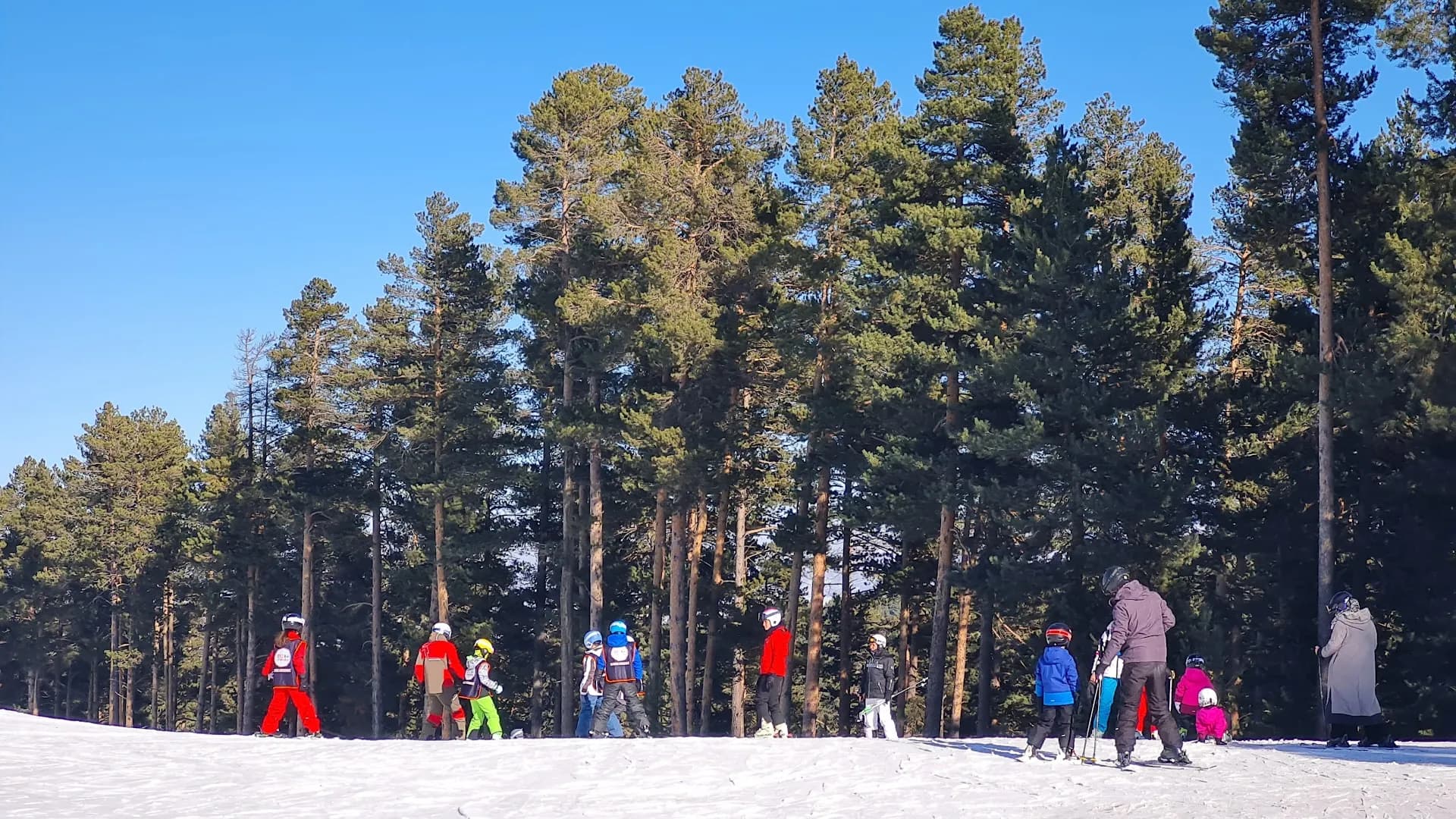 Sarıkamış Kayak Merkezi - Sarıkamış Ski Resort