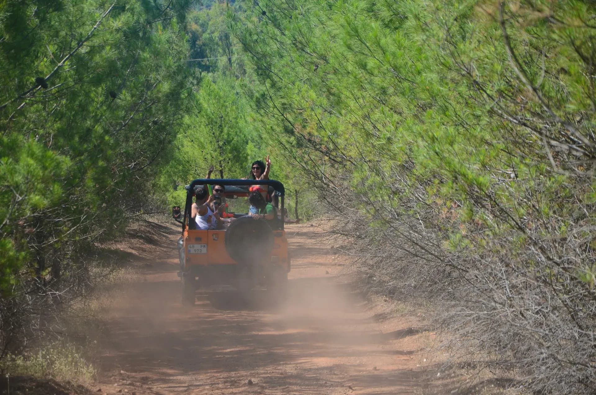 Survivor Jeep Safari