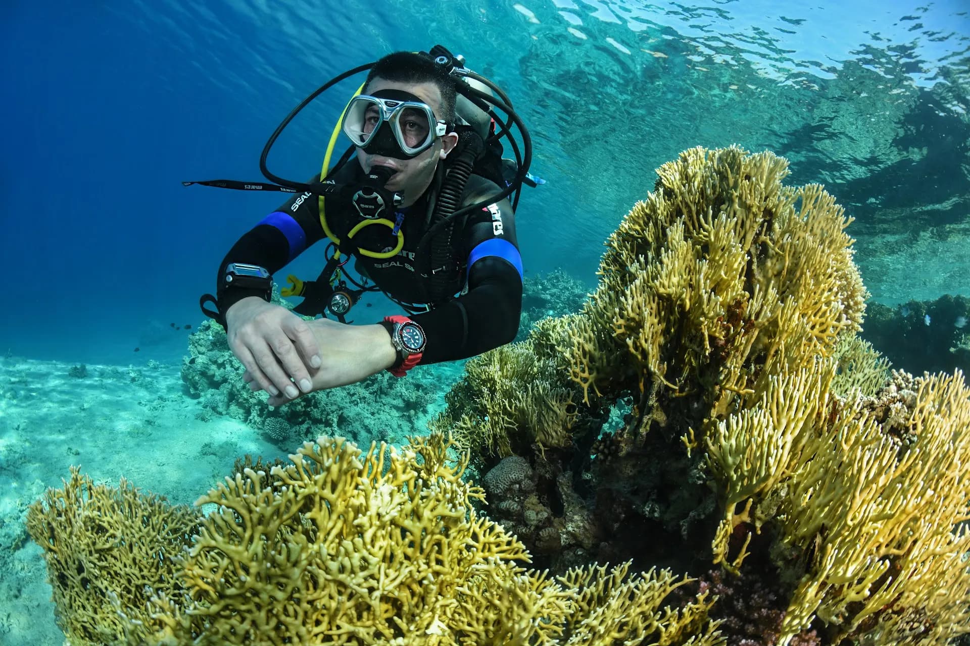 Denizli Deep Blue Dalış Okulu