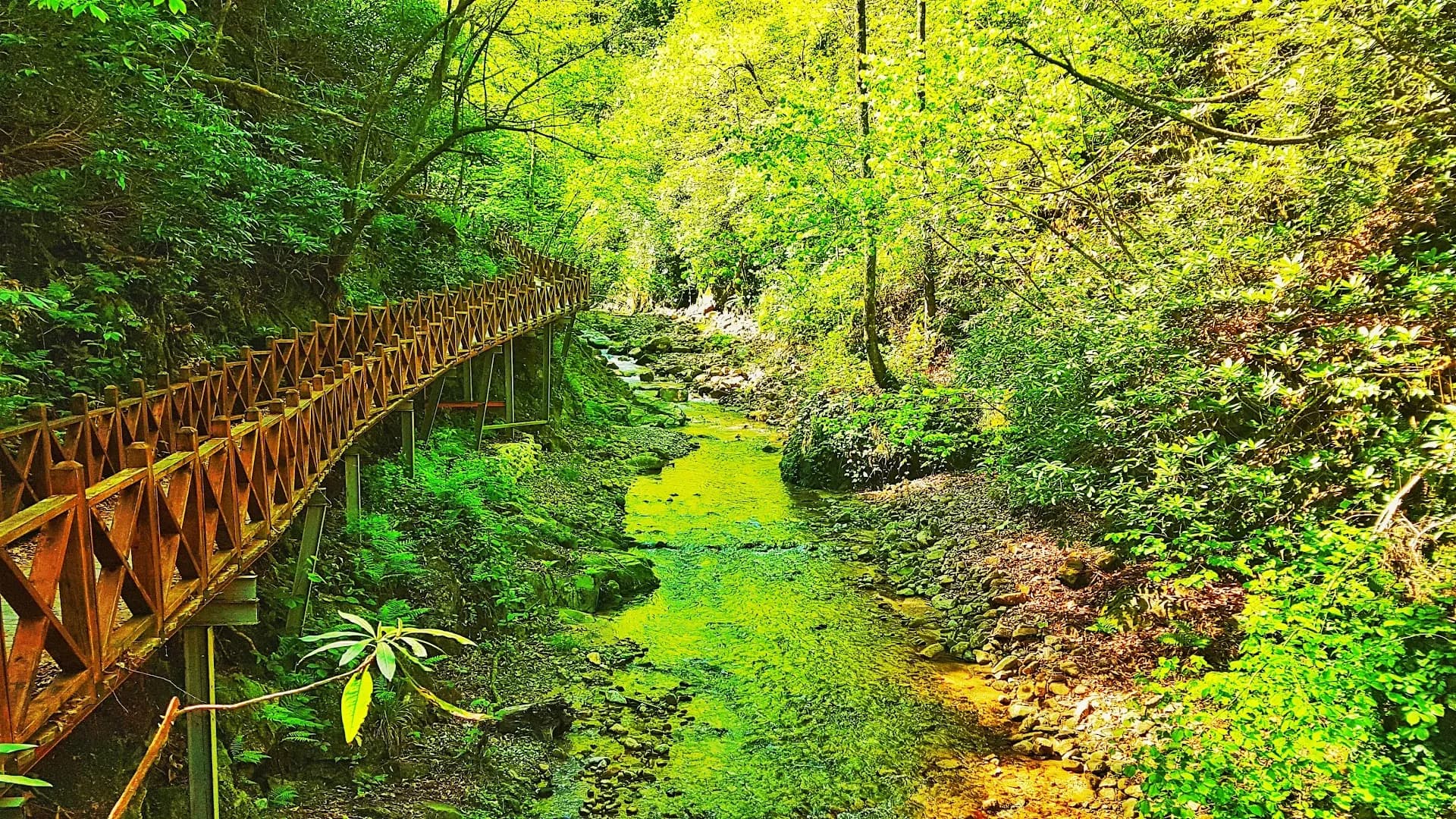 Hemşin Şelalesi Tabiat Parkı
