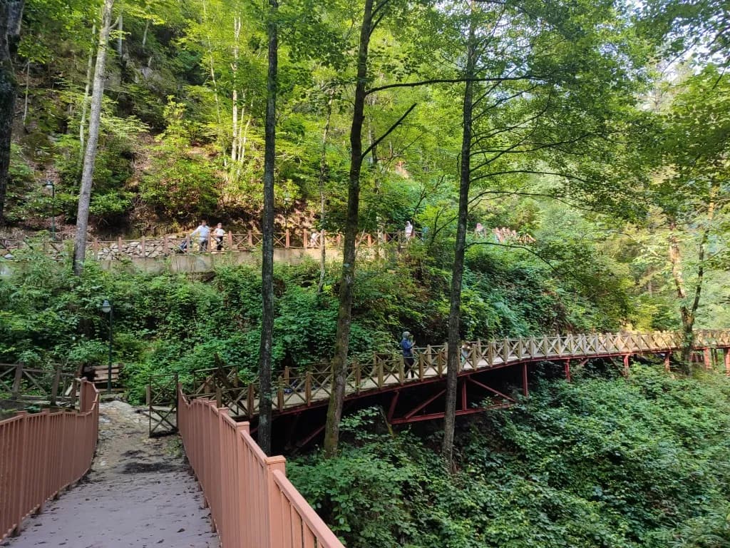 Hemşin Şelalesi Tabiat Parkı 3