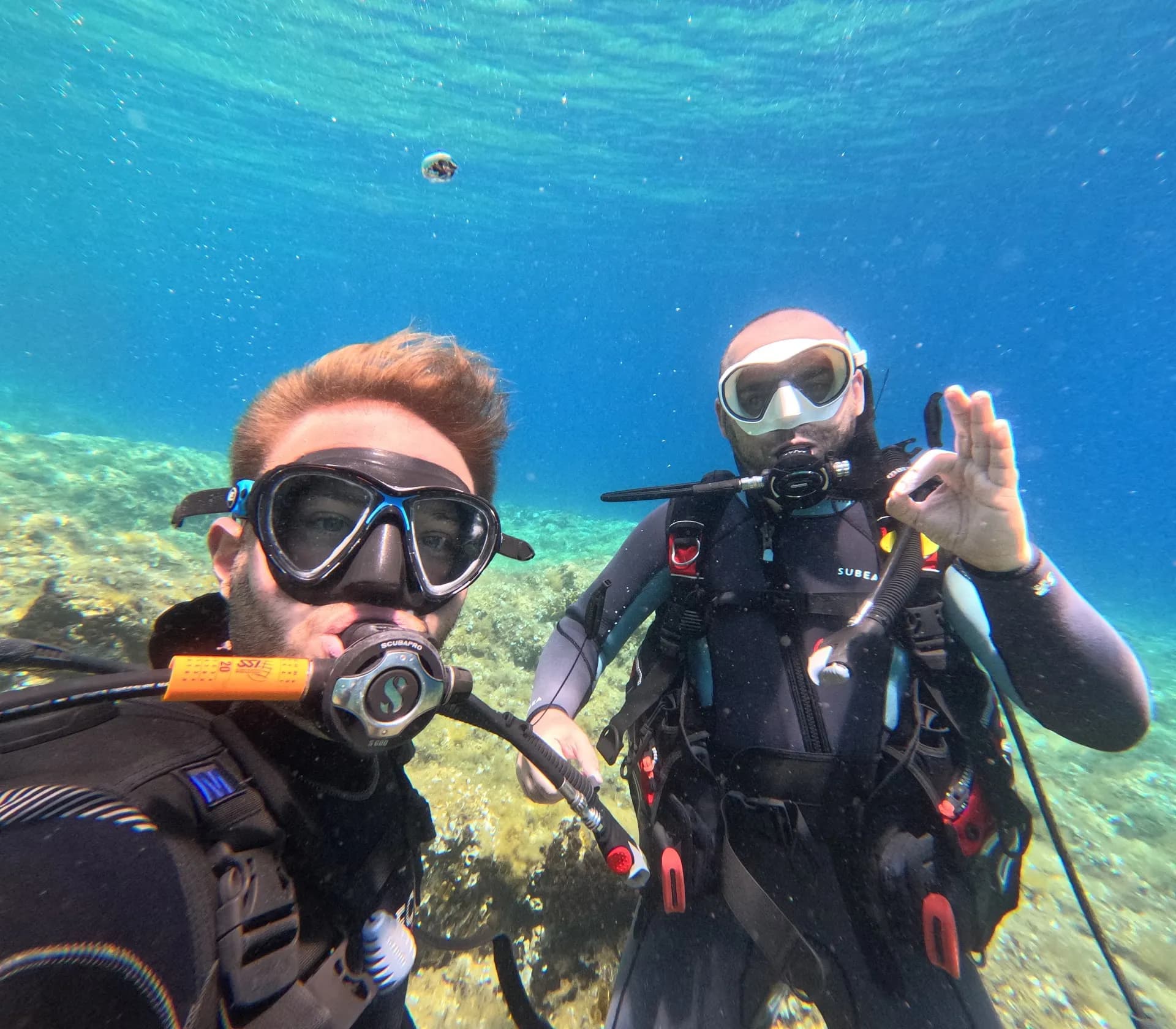 Bahçeşehir Diving Tüplü Dalış Eğitimi ve Okulu