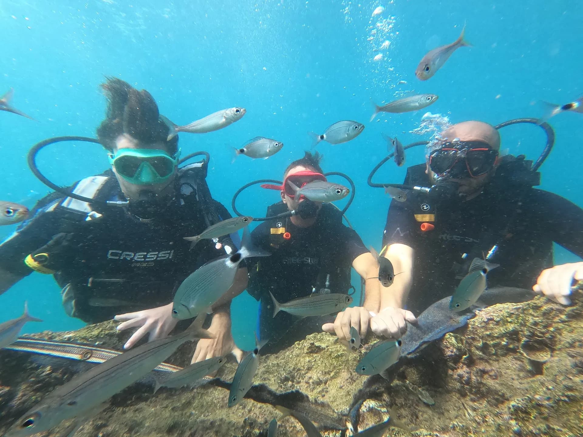 Antalya Adrenalin - Tüplü Dalış Scuba Diving