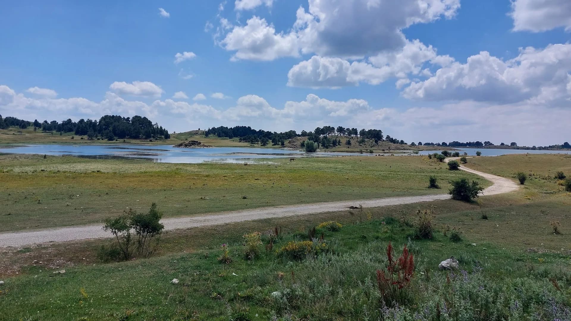 Ilgaz Zipline