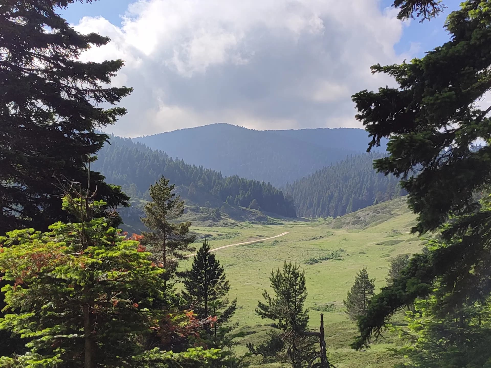 Kömürsu yaylasi