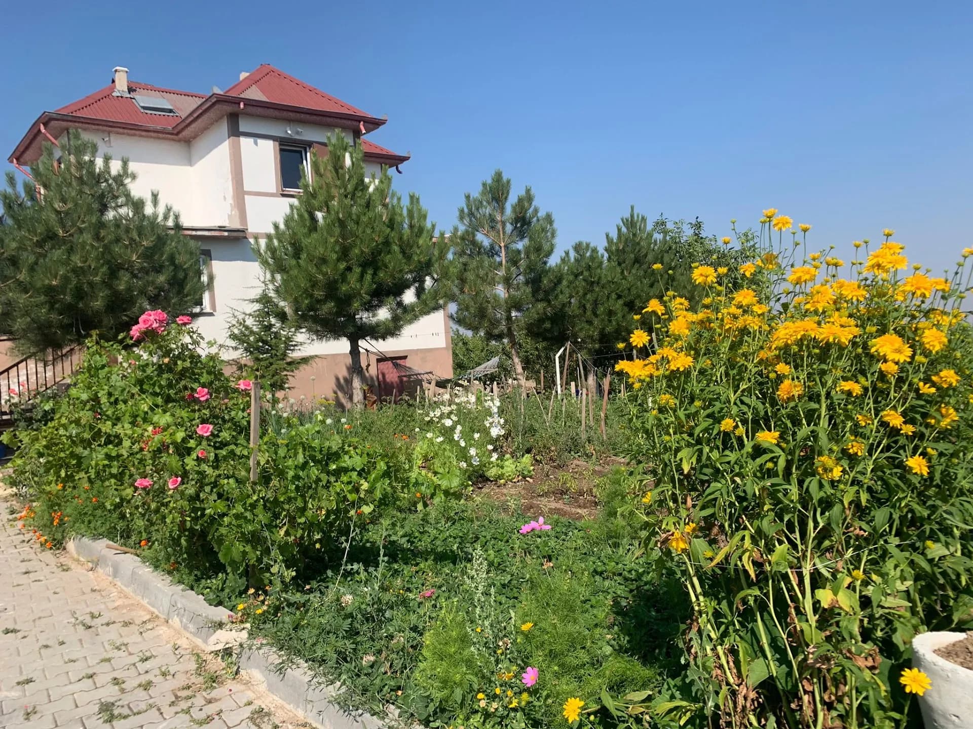 Aydın Dağevi 2