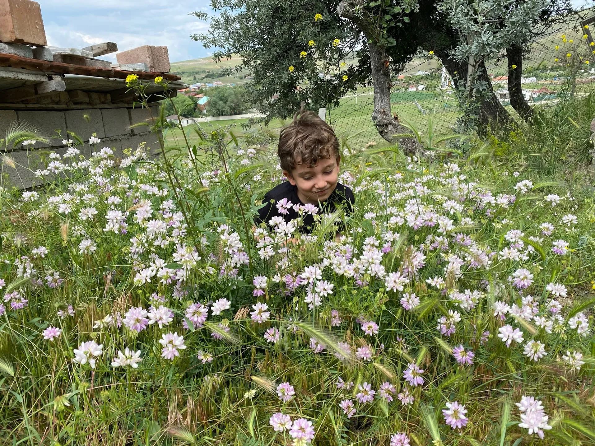 Aydın Dağevi 3