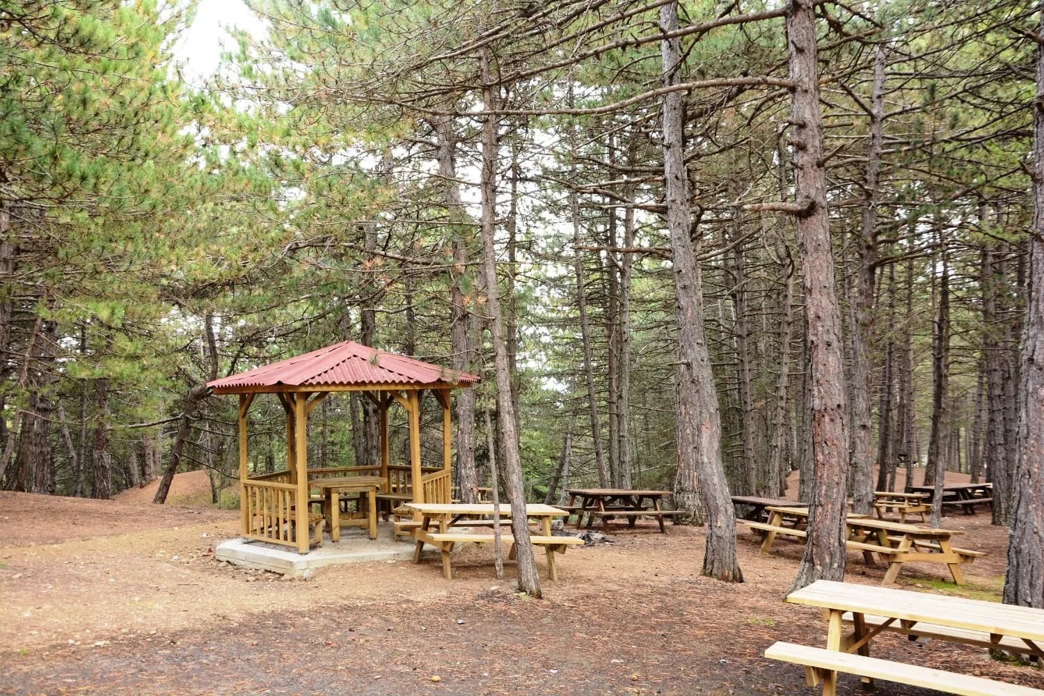 Çatak Tabiat Parkı