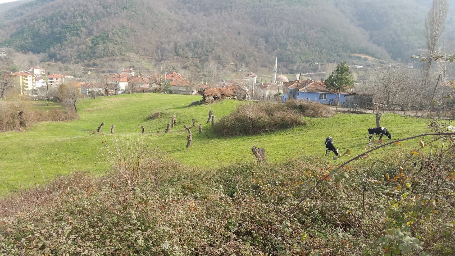 Trekking Parkurları Başlangıç Noktası