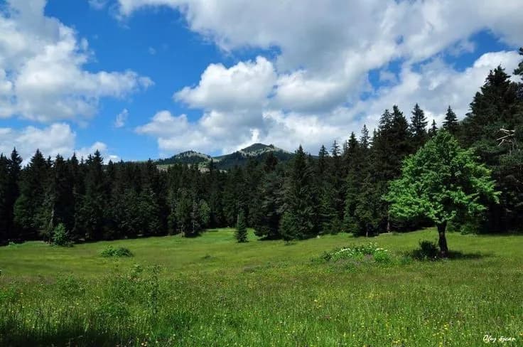 Bayraktepe Tabiat Parkı