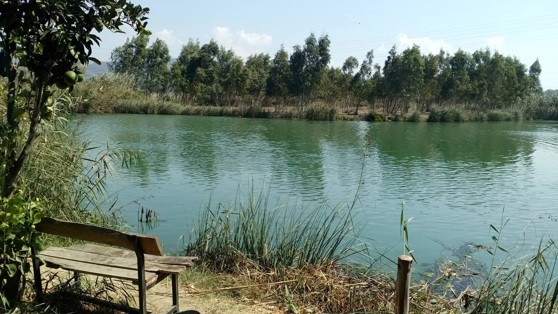 Nefes Adası