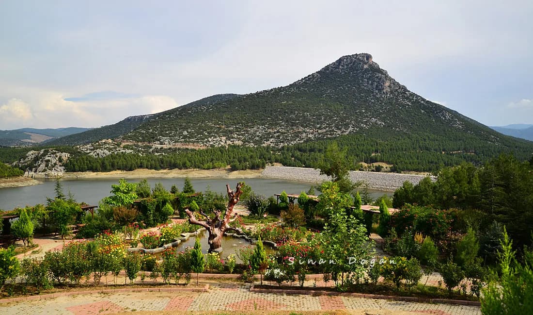 Oğuzhan Kent Ormanı