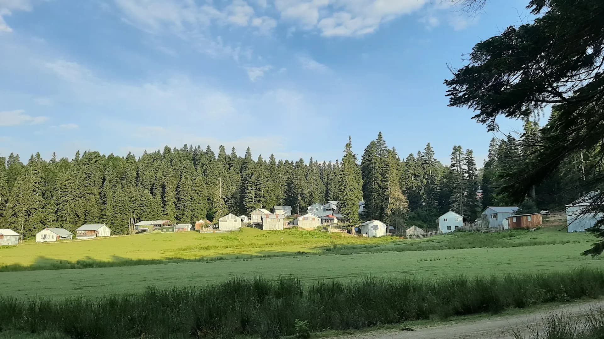 Sinekli Yaylası