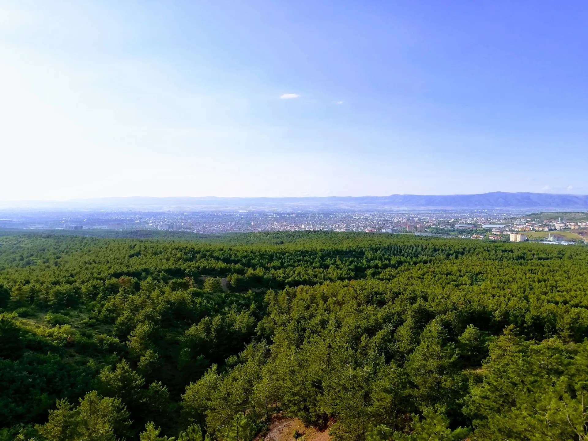 Eskişehir Kent Ormanı