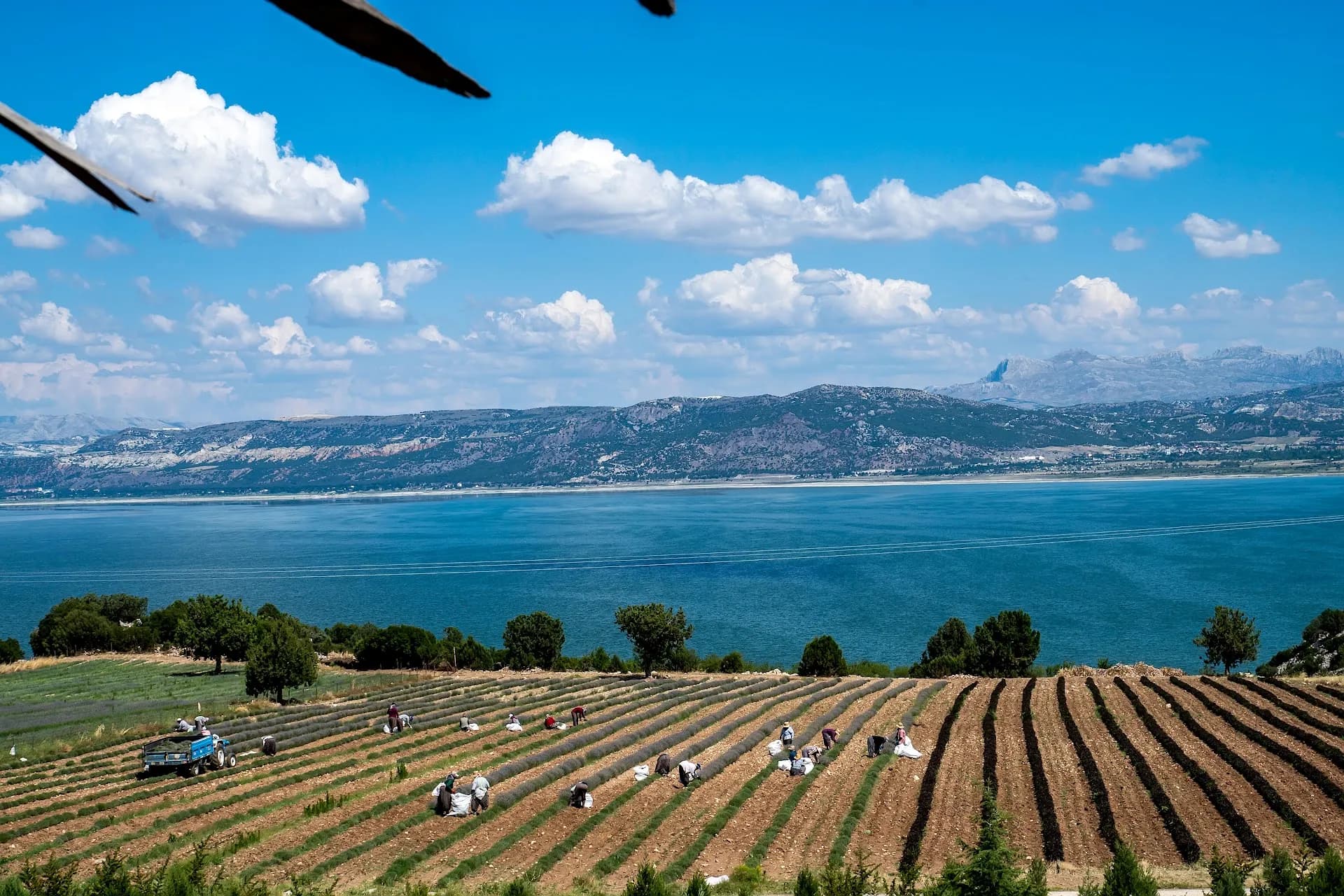 Lisinia Doğa proje Alanı