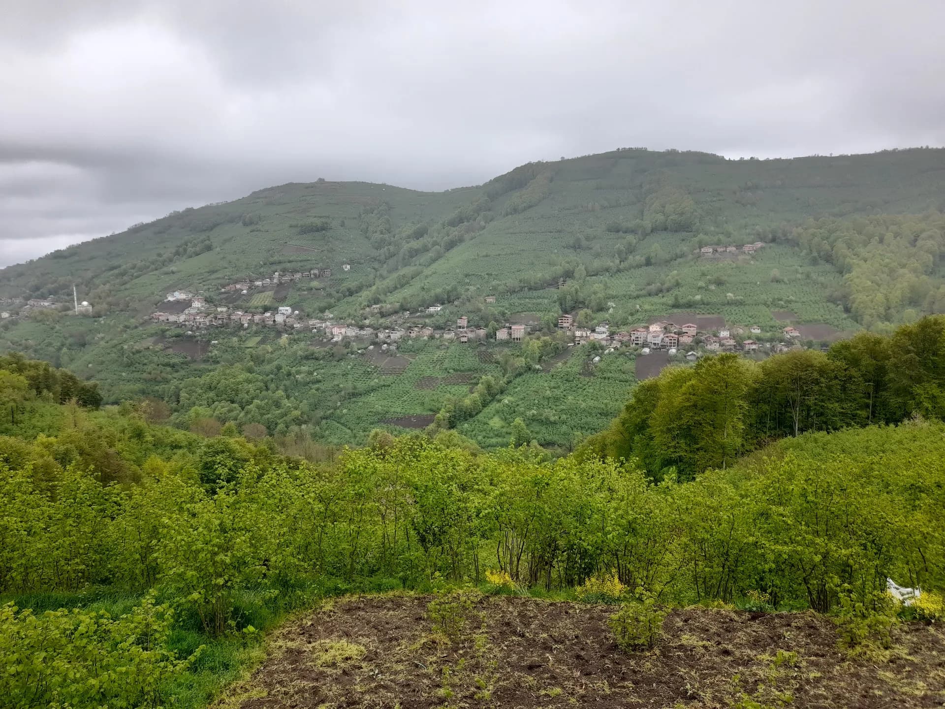 Kuzbahçe köyü 2