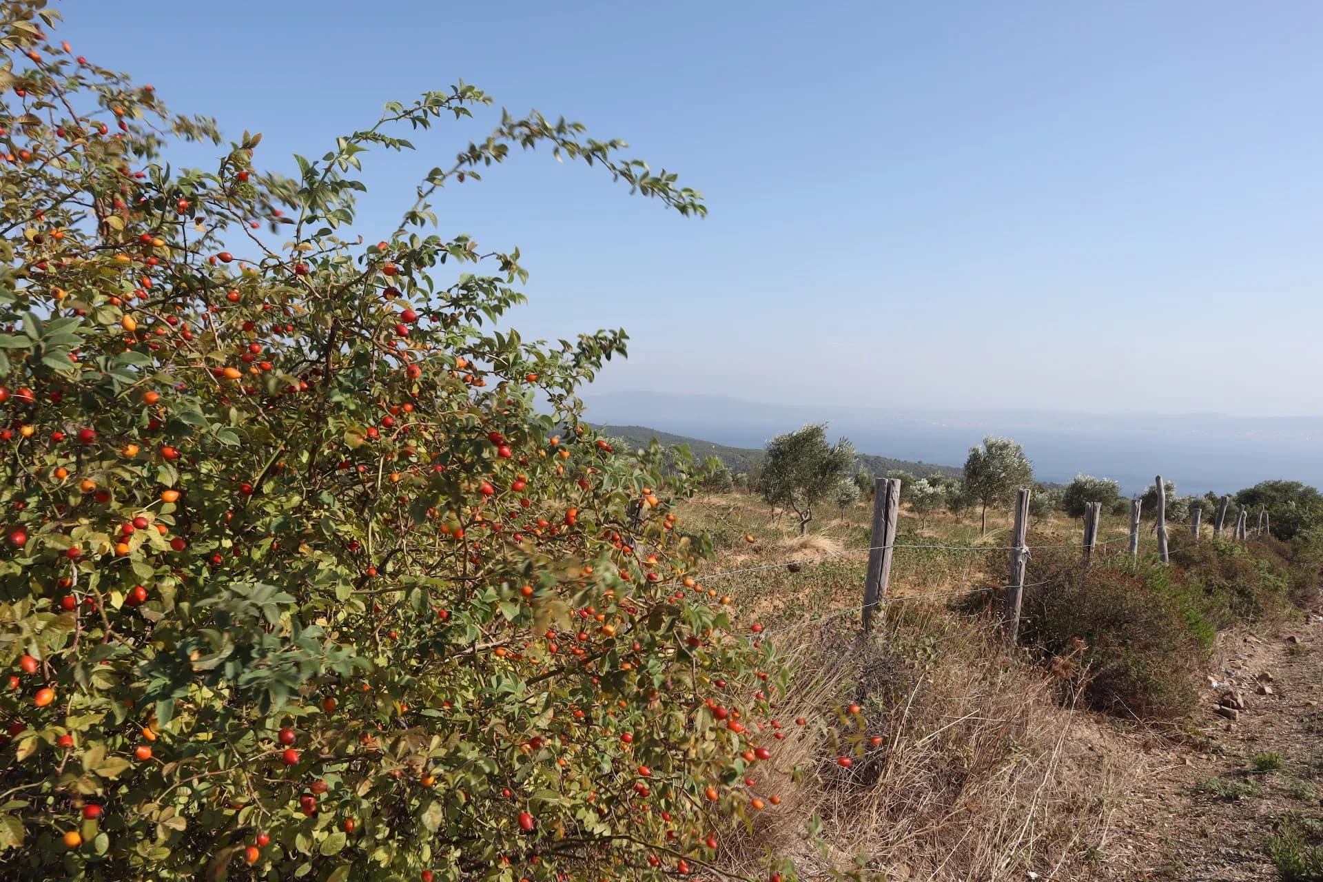 Trekking Parkurları 2