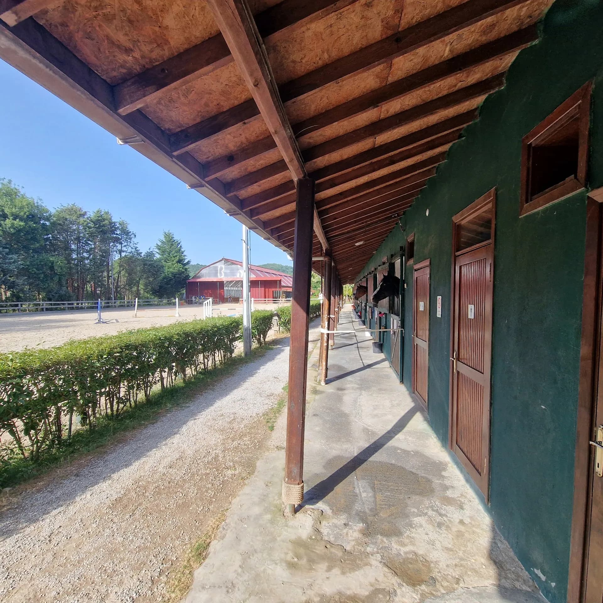 Göllü Binicilik 3