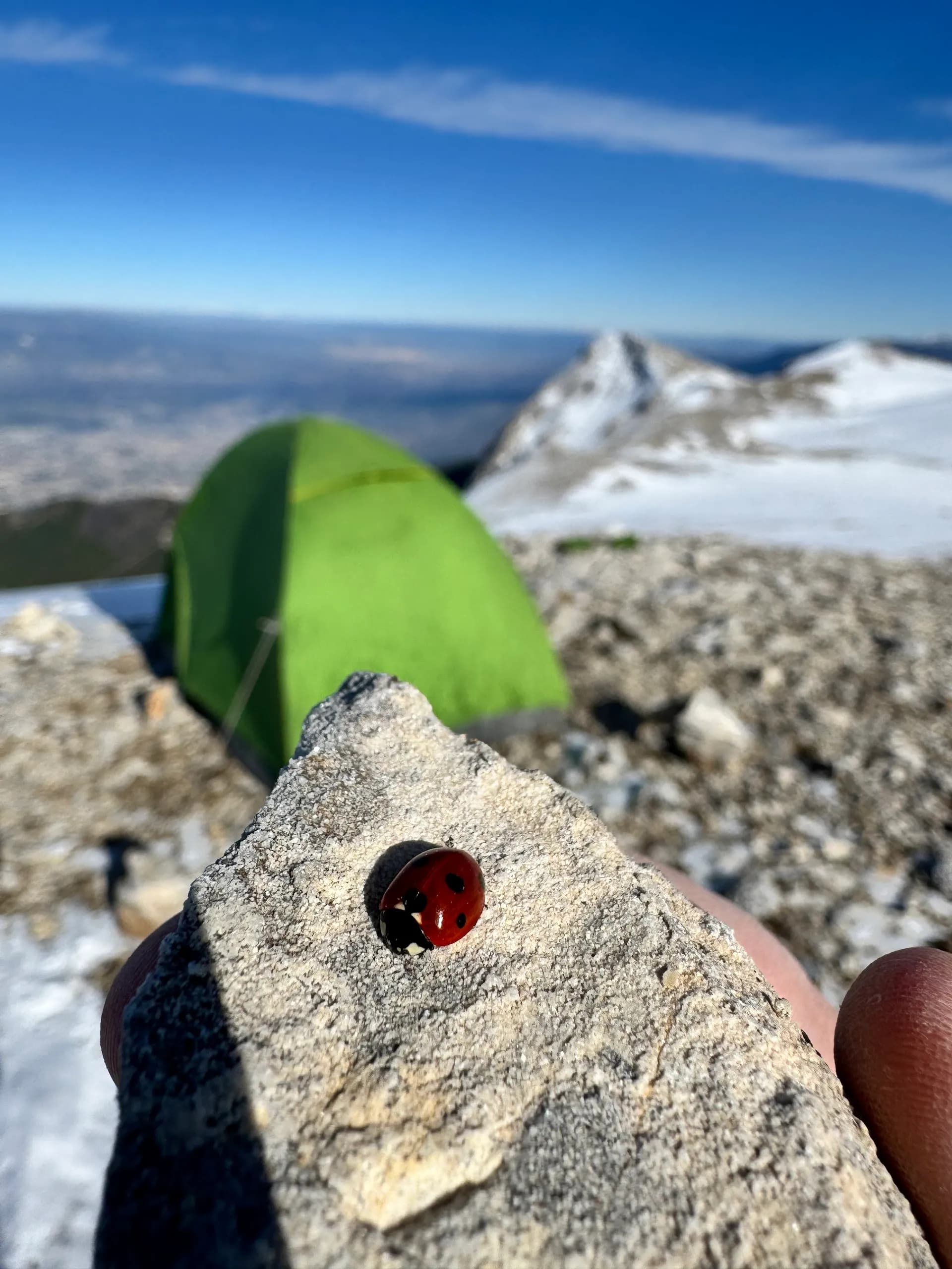 Alpsarp Zirvesi 2