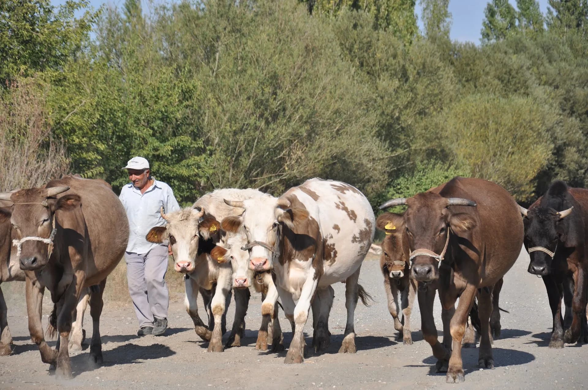 Nuh'un İzinde Yürüğüş yolu 3