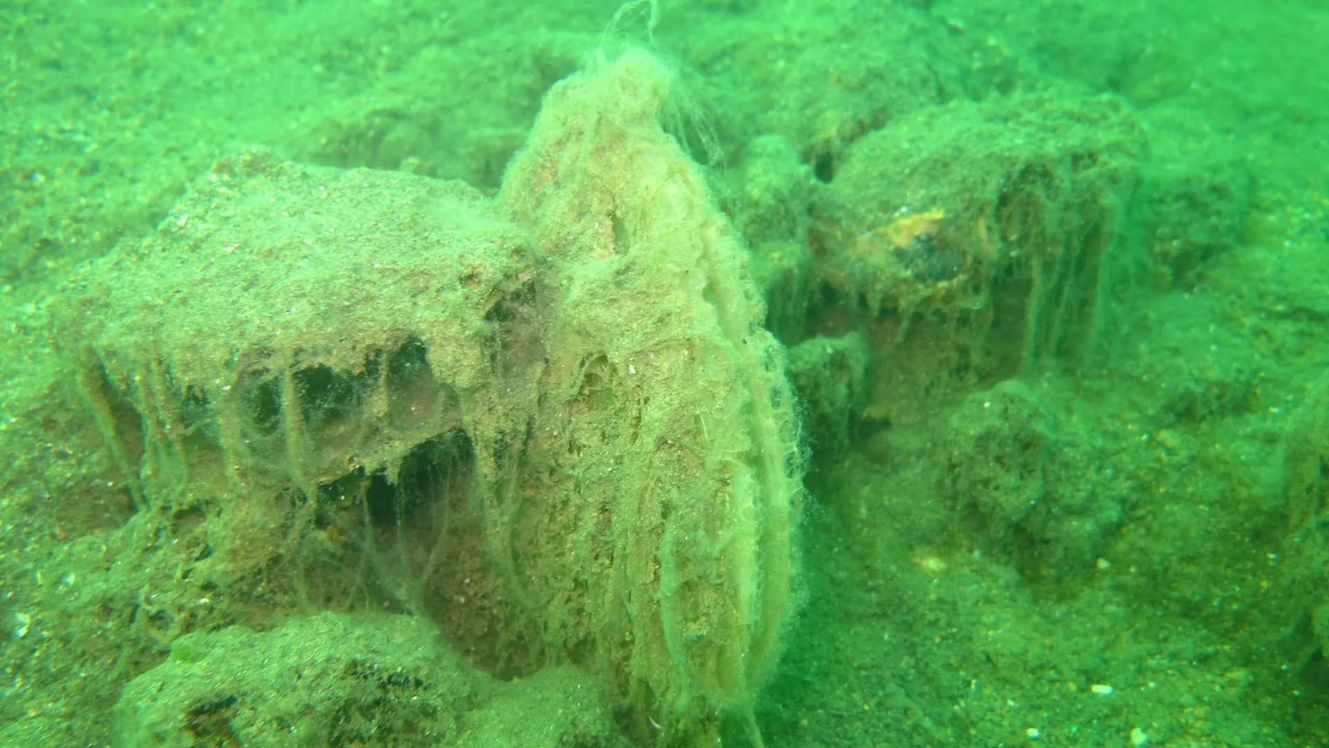 Mavi Keyif Diving House