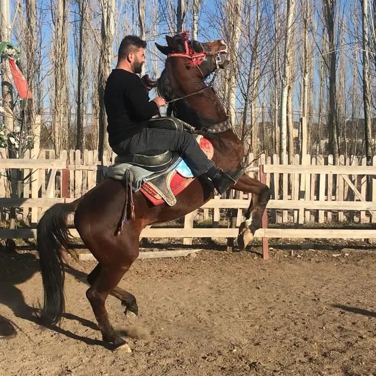 Diriliş Atlı Spor