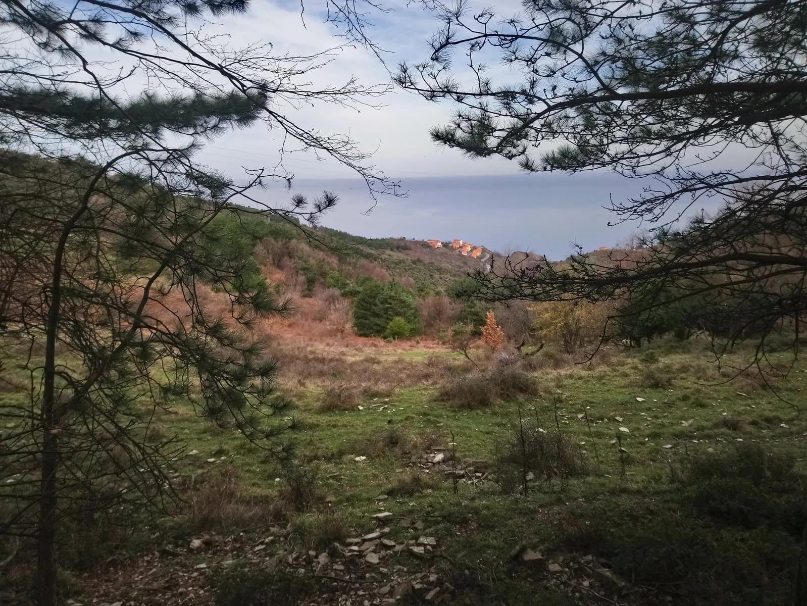 Gali tepesi 3