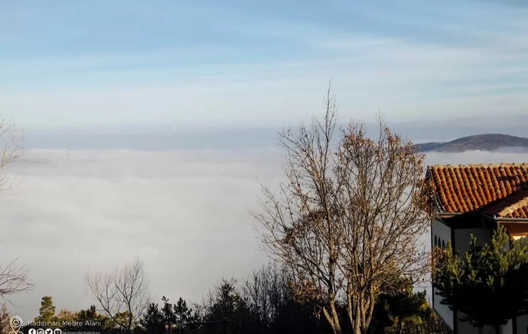 Kadıpınarı Tabiat Parkı