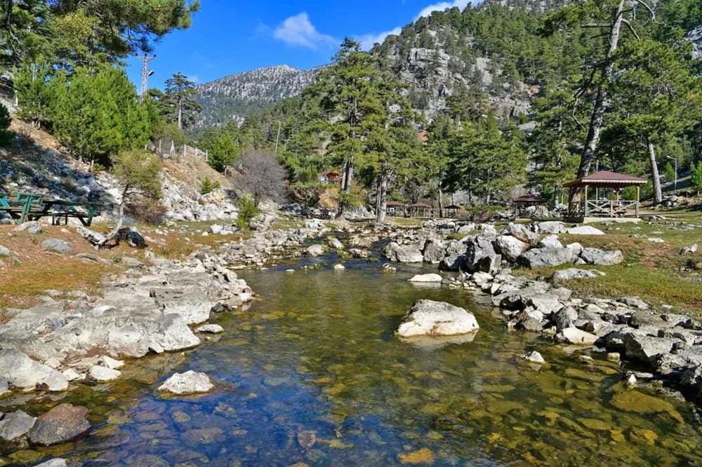 Başpınar Tabiat Parkı Kamp ve Piknik Alanı