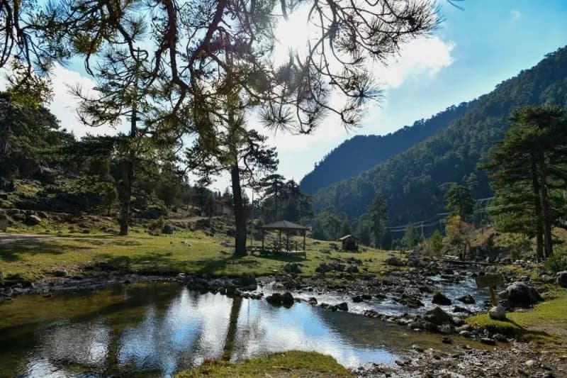 Başpınar Tabiat Parkı Kamp ve Piknik Alanı 2